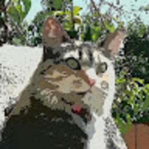 Meet your Posher, Brett